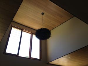RENOS/DECKS/PERGOLAS/ CARPENTRY